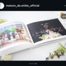 드 림 로 | 더컨벤션 반포 가성비 본식스냅+DVD 메종드화이트 계약 후기 / 짝궁 구해요!