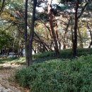 살구골공원 이미지