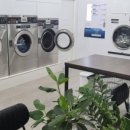 맘스워시24 이미지