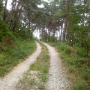 모산봉등산로 이미지