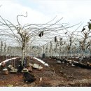 한창농장 이미지