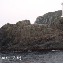 대삼부도 Daum카페