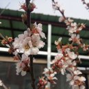 귀래농장 이미지