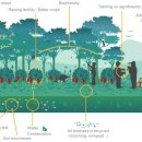 서진석농장 이미지