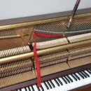 삼정상회 이미지