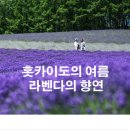 7월16일(화)-20일(토) 홋카이도 라벤다&amp; 대설산 이미지