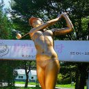 화천공설운동장 이미지
