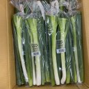 대상유통 이미지