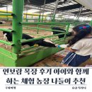 풍성농장 | 연보람 목장 후기 아이와 함께하는 체험 농장 나들이 추천