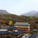 천마산로65 이미지