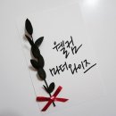 캘리스토리 이미지