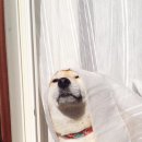 재희헤어 이미지