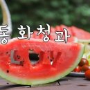 원미청과