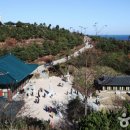 양양 낙산사 칠층석탑 이미지