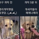 행복담 이미지