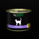 캔두코리아 이미지