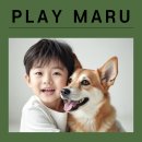 이천시 이안퍼스티엄이천부발 강아지 매트 시공 후기 관절 보호 필수 템