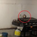 순한농장 이미지