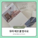 뮤라 | 여름 아기 필수템 ｜뮤라 에코쿨 방수요 사용 후기