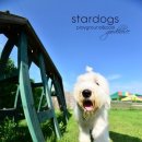 김정국한의원 이미지