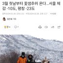 3월 첫날부터 꽃샘추위 온다…서울 체감 -10도, 평창 -23도 이미지