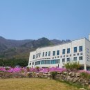 효심사(보광리) 네이버블로그