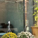 가호식당 이미지