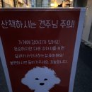 행복후레쉬푸드 | 전포 칵테일바 추천 야장 분위기 맛집 전포 포스터바 방문 솔직후기