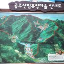 공주산림휴양마을 유아숲체험원 이미지