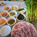 싱그러운청도로(여름) | 청도 미나리 삼겹살 남겨서뭐하게 맛집 정보