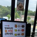 이조 | 강원도 속초현지인 30년 전통 명태회냉면 맛집 이조면옥 후기