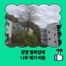 능촌 | 광명 벌목업체 나무 제거 비용