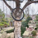 카페포렛 이미지