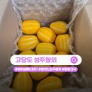 꿀벌과일 | 실패없는 고당도 성주참외! 한 입 먹고 반한 고당도과일 리얼 성공 후기