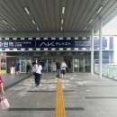 세화약국 | 수원 창고형 약국 내돈내산 후기! 수원 케이약국에서 해외 상비약 대량구매