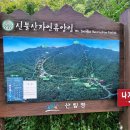 영 농장 Daum카페