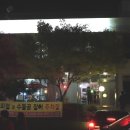 양촌장어