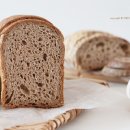 리온 휘트니스 이미지