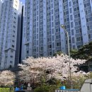 노량진 수산시장 3대장 전라상회 솔직후기 (+온누리 할인 꿀팁, 독도수산, 노량진 야장, 전망 좋은 집)