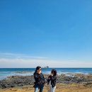 제주도 승합차 렌트 기사 포함 대절로 친구들과 즐긴 제주 자유여행