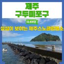 알음알음제주 | 제주 스노클링 명소 도민 추천 섶섬뷰 구두미포구 강아지 동반