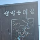 송원정 | 왕모산