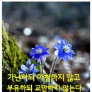 한줄 명언모음 ( 3 ) 이미지