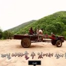 산방환담 이미지