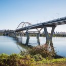 한강시민공원(등수국터널 1) | 맑은 가을날 찾은 구리한강시민공원 (코스모스)(2025-10-8)