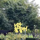 2023 양천 가을 문화 축제 이미지