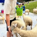 푸름목장 이미지