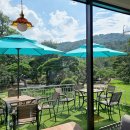 카페정원 이미지