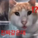 재금