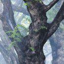 한개마을 이미지